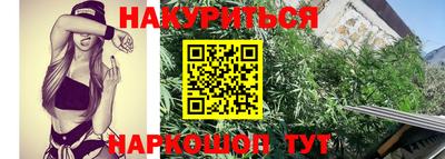 mdpv Краснознаменск
