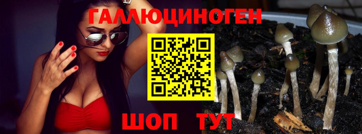 Вятские Поляны  Псилоцибиновые грибы Cubensis  Галлюциногенные грибы GOLDEN TEACHER  Вход с VPN 
